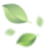 Little leafs